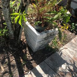 Concrete  Pot 14” tall  X  14” across  Top