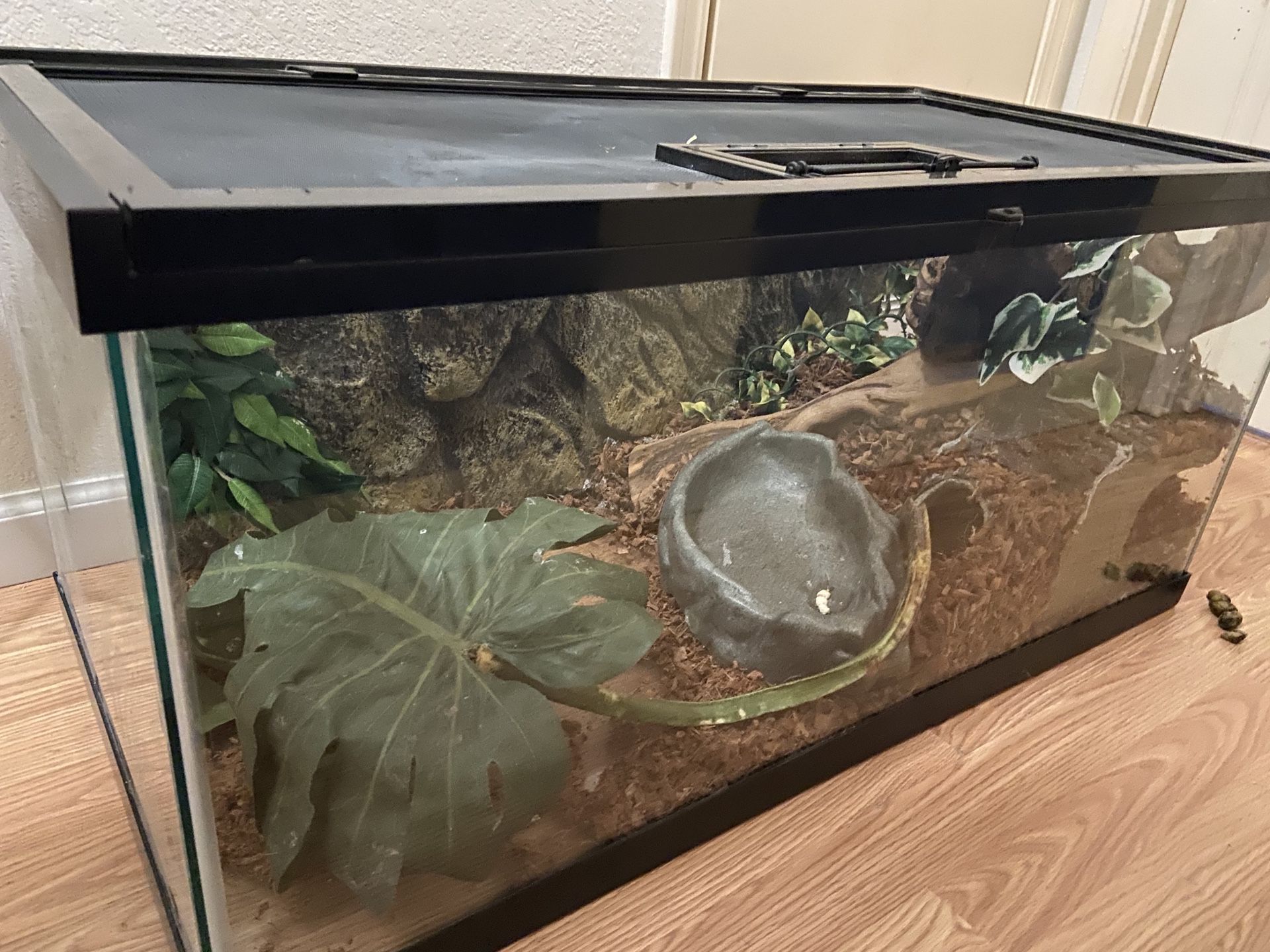 40 Gallon Tank With Lid