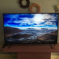 Sony 65” TV