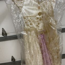 Tangled/Rapunzel Costume