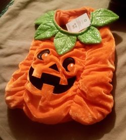 Pumpkin Dog Costume