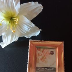 Rose gold photo frames