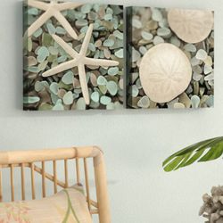 Aquatic I And II On Canvas 2 Pieces by Alan Blaustein Starfish Sand Dollar Sea Glass Beach Coastal