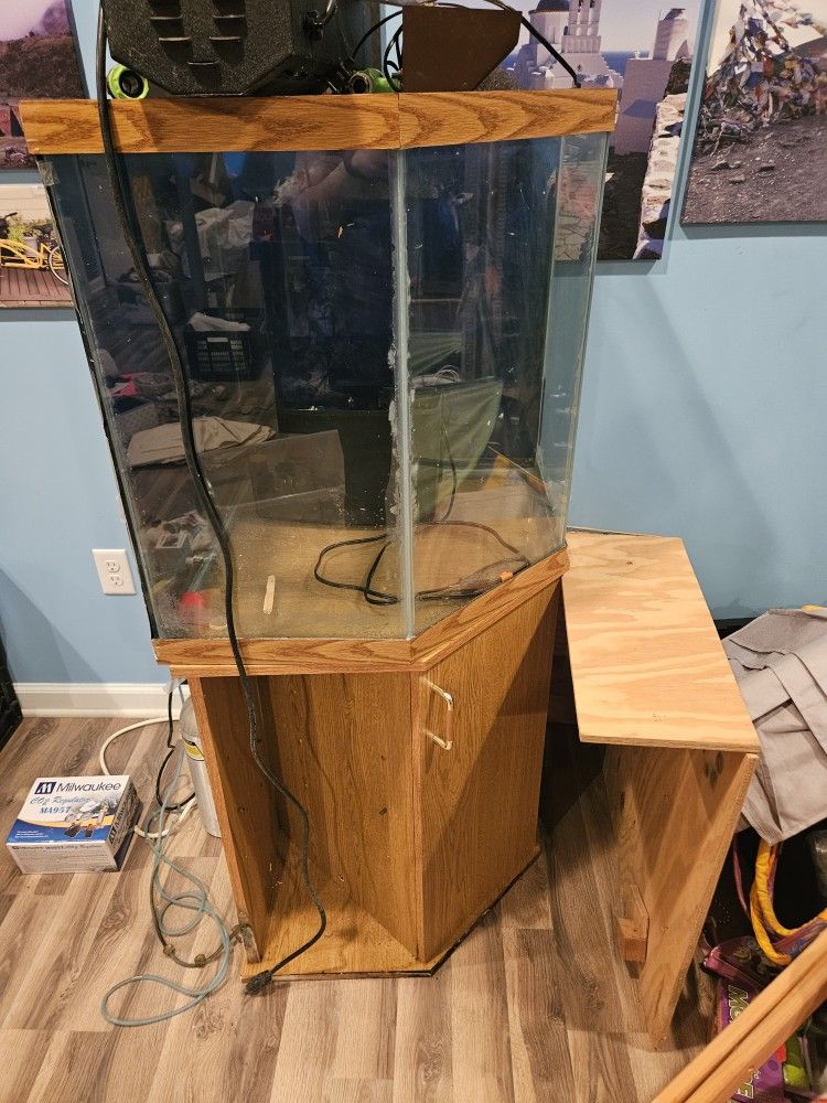 44 Gallon Aquarium With Lots Of Supplies