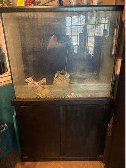 Used fish tank but still like new