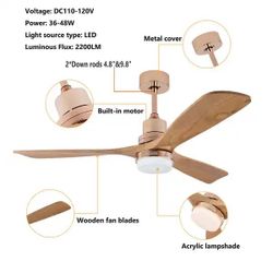 Ceiling Fan / Light