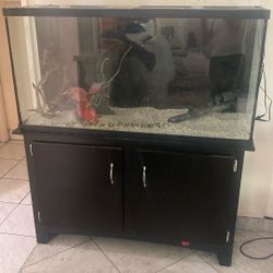75 Gallon Aquarium & Cabinet
