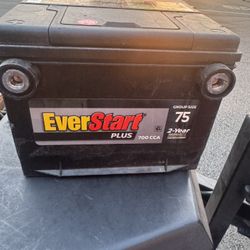 EverStart Plus Lead Acid Automotive Battery, Group Size 75.  
