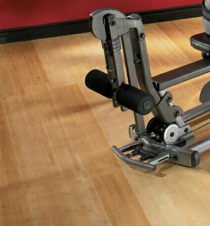 Bowflex Ultimate 2 Leg Curl & Leg Extension Attachment