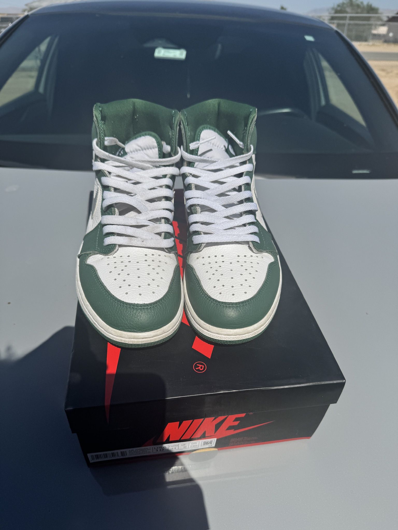 Gorge Green Jordan 1