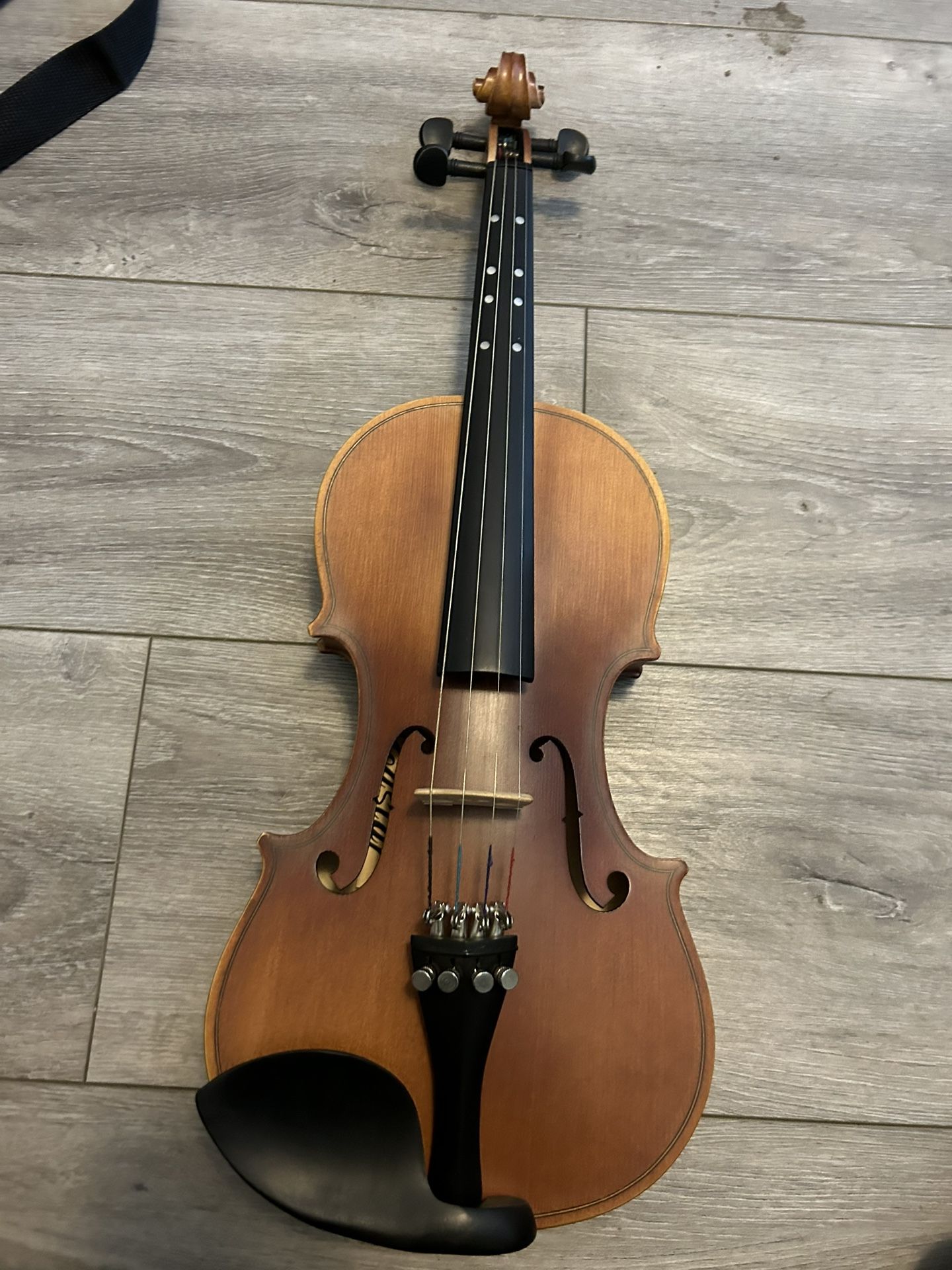 Violin