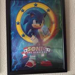 Sonic Picture. 