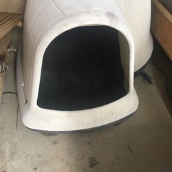 Dog Igloo 