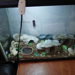 Tank 