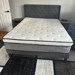 Queen Mattress. Very firm. Just 6 Months Old. Pick Up Only