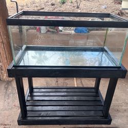 40 gallon tank