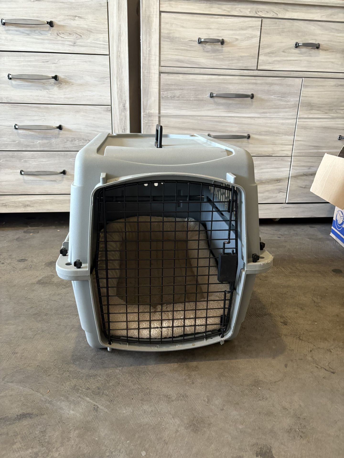 dog crate