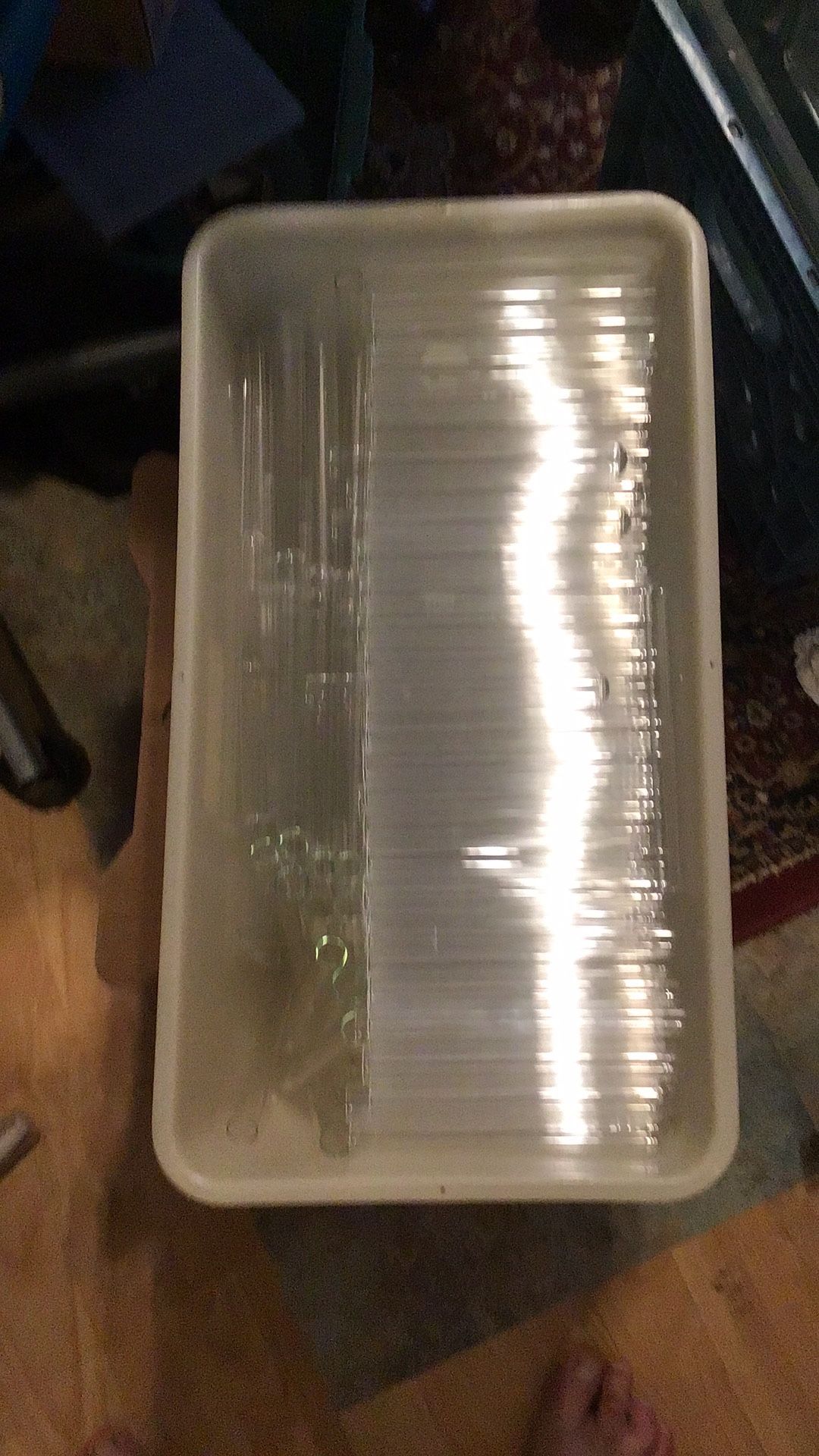 pyrex glass test tubes