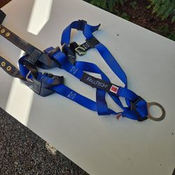 Falltech Safety Harness