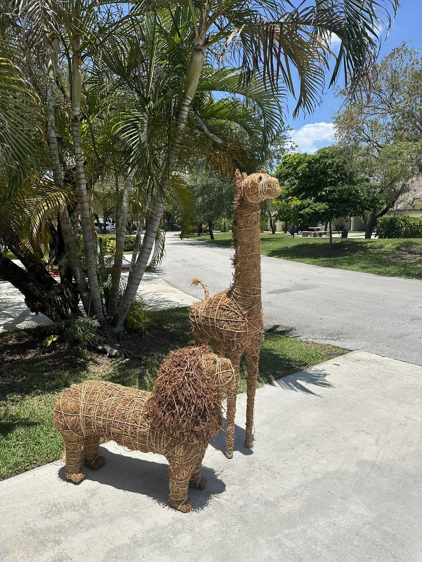 Wicker lion & Giraffe Set