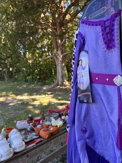 Disney Wish Girls Costume size 3