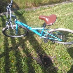 B Twin 24 Inch Bike for Sale in Orlando FL OfferUp