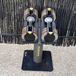 Gold's Gym Adjustable Dumbbell Set 10-50 lb Pair with Base