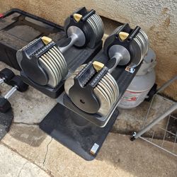 Golds gym adjustable dumbbells with stand