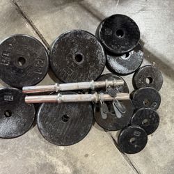 Dumbbells Weights 