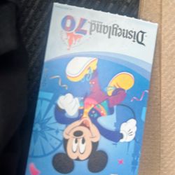 One Disney Ticket 100
