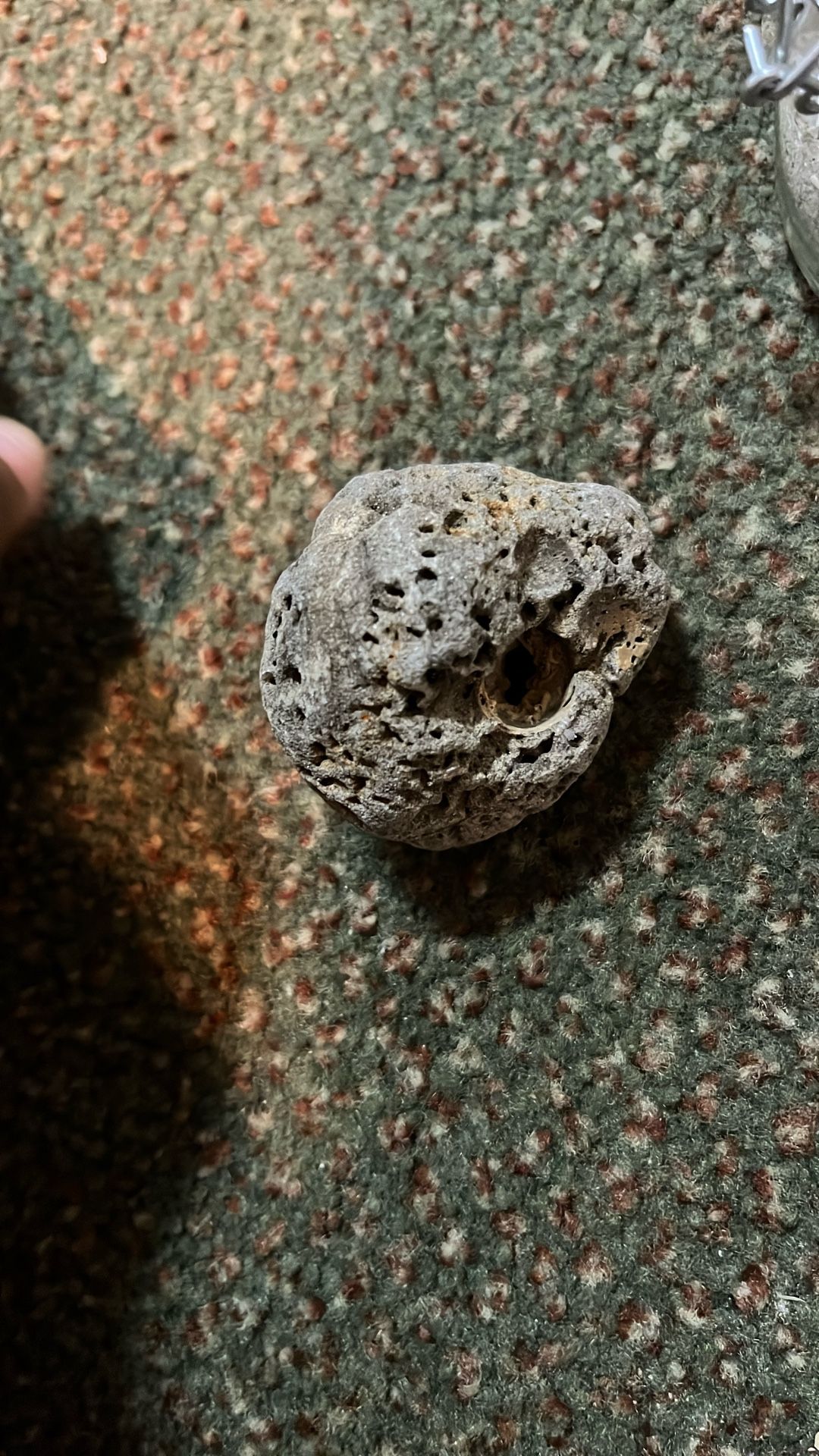 Volcanic Rock From Myrtle Beach