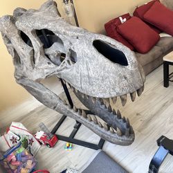 T-Rex Skull