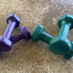 2 & 3 LBS. RUBBER COATED DUMBBELLS 