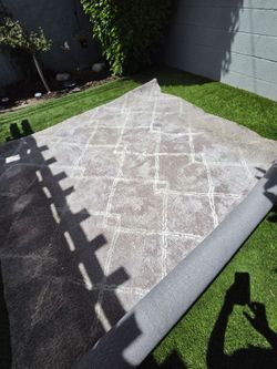 Indoor area rug