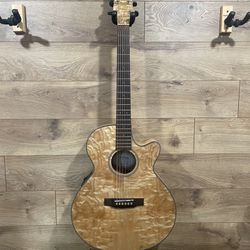 Mitchell Acoustic/Electric Guitar