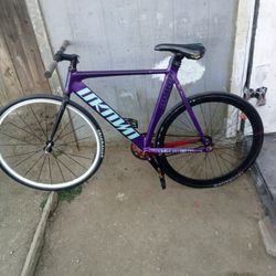 Unknown, Singularity, Purple