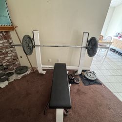 Workout Bench + weights