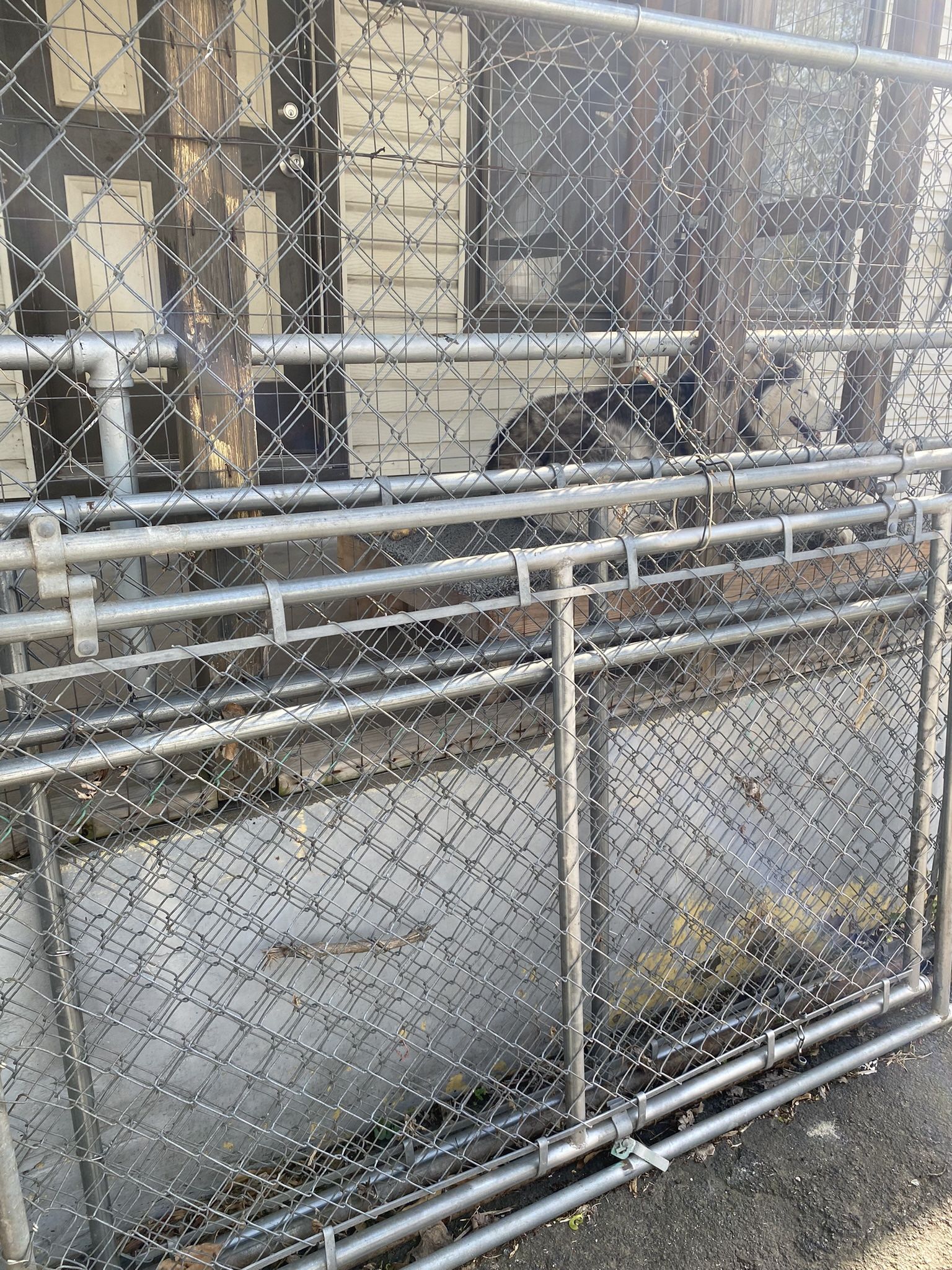 4x6x10 Galvanized Pet Pen