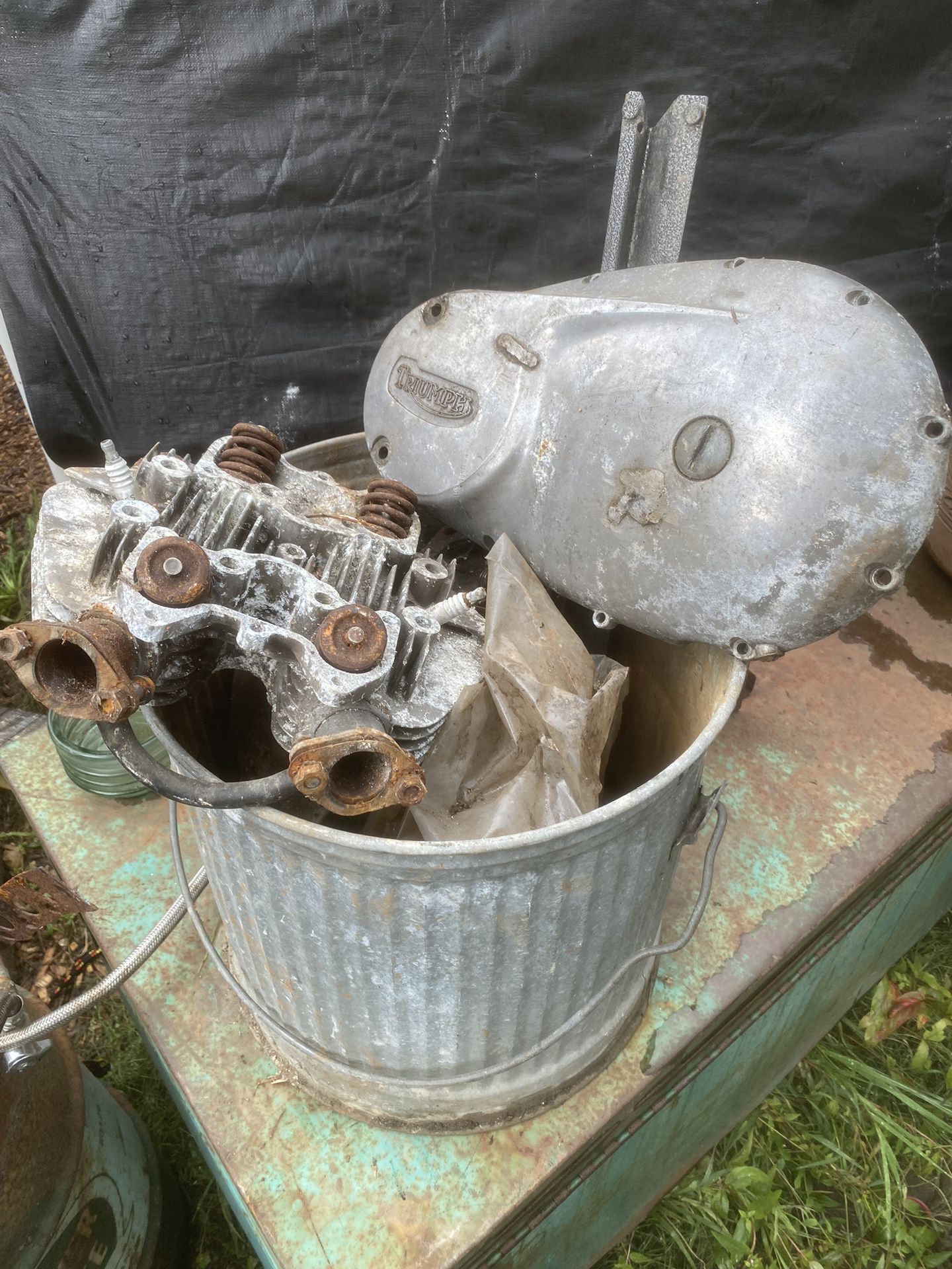 Triumph 2 Cylinder Engine 