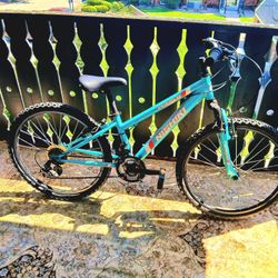 Nishiki Pueblo 24-inch mountain bike