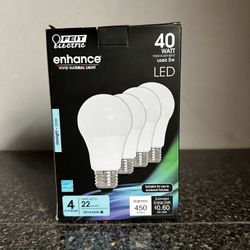 40 Watt 4 Pack Light Bulb