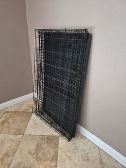 Pet supplies