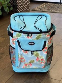 Reduced! Soft Rolling Cooler on Wheels (Sports Park Beach BBQ)