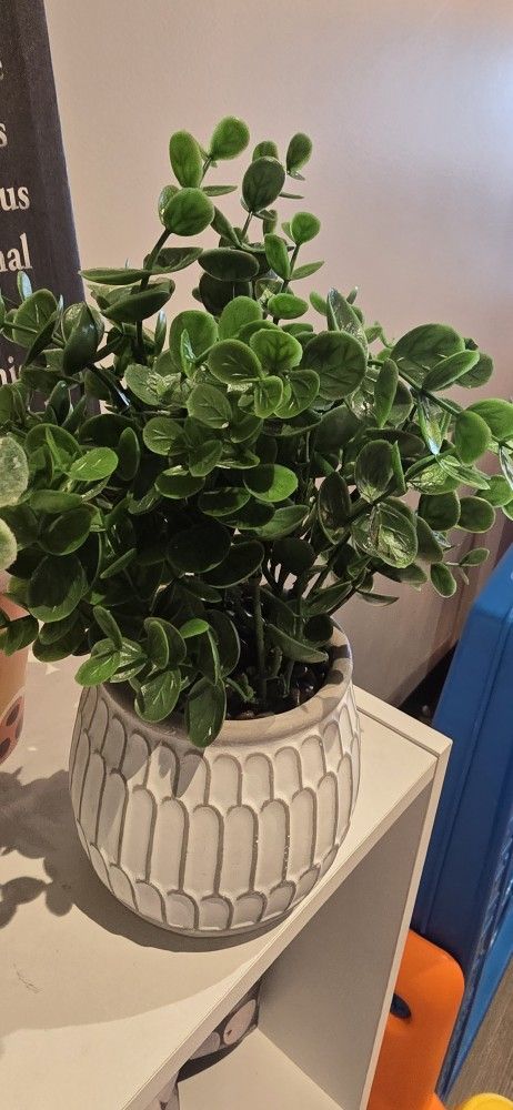 Table Decore Plant Pots