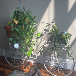 Bicycle plant rack 