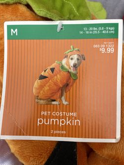 Dog Pumpkin Costume