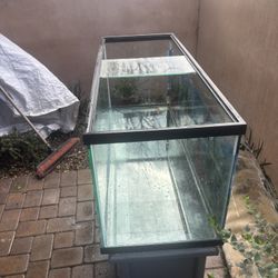 55 Gallon Fish Tank