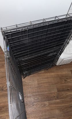 Dog Crate 