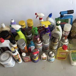 Cleaners and Paints 34 Piece Garage Lot