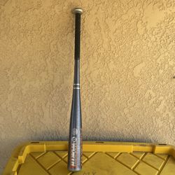 Worth 26 Softball Bat